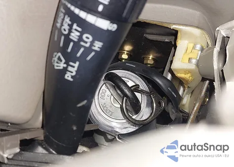 2004 Hyundai Santa Fe Gls/Lx из США, поврежденный, VIN KM8SC73EX4U646043